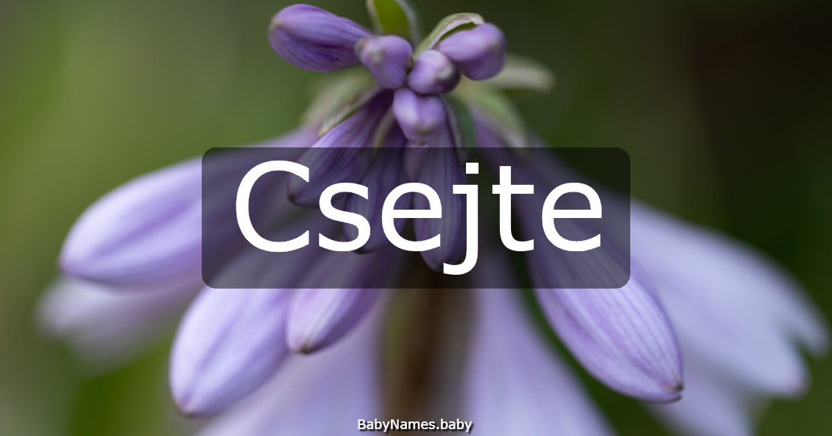 Csejte
