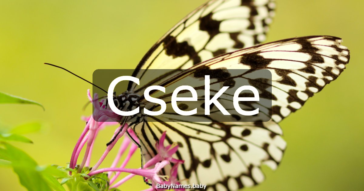 Cseke