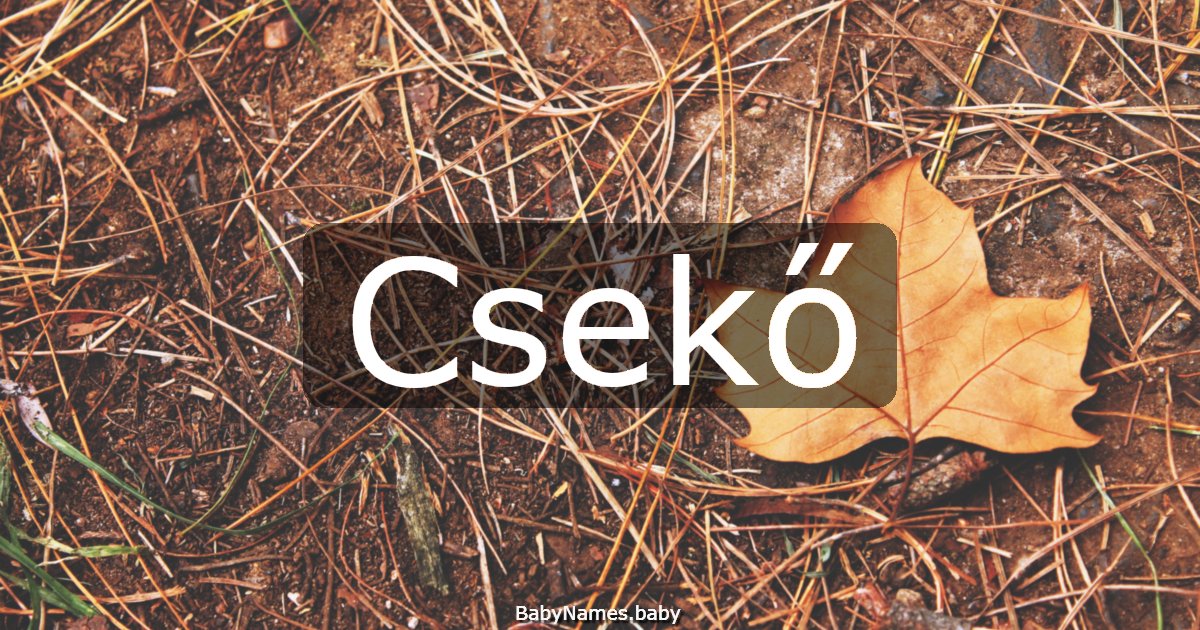 Csekő