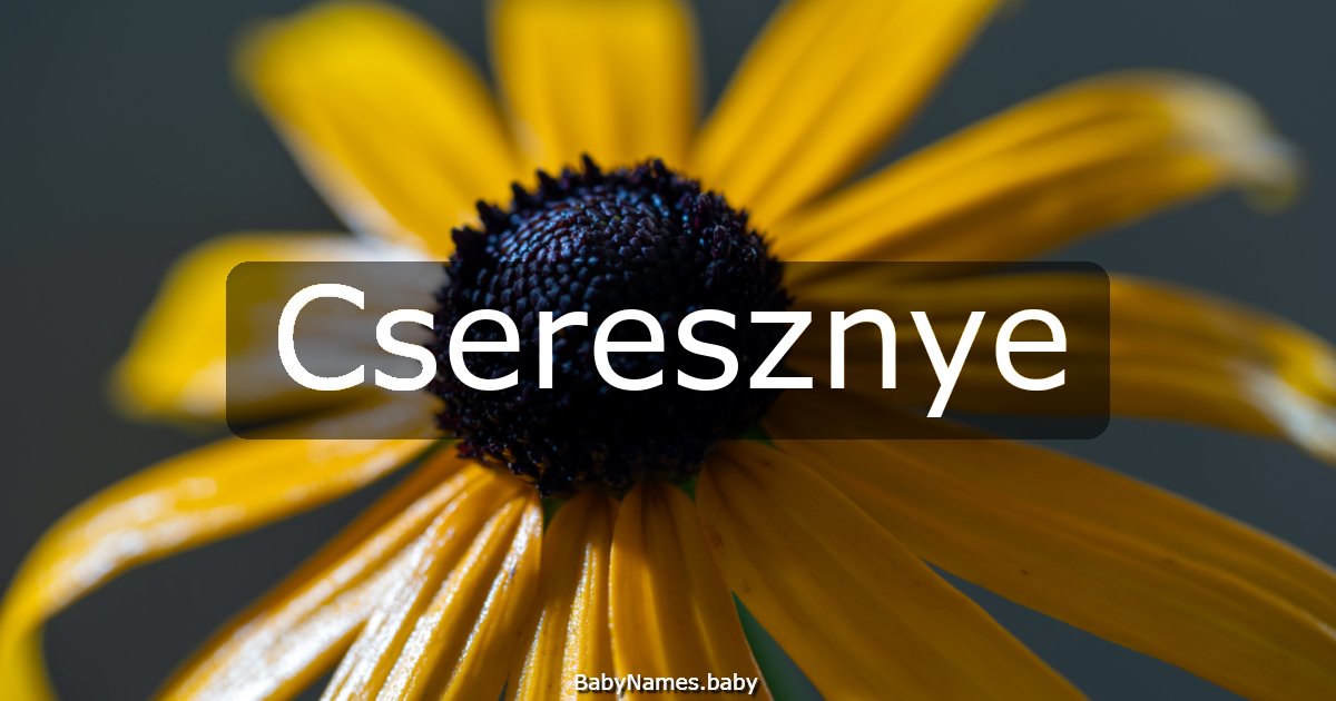 Cseresznye