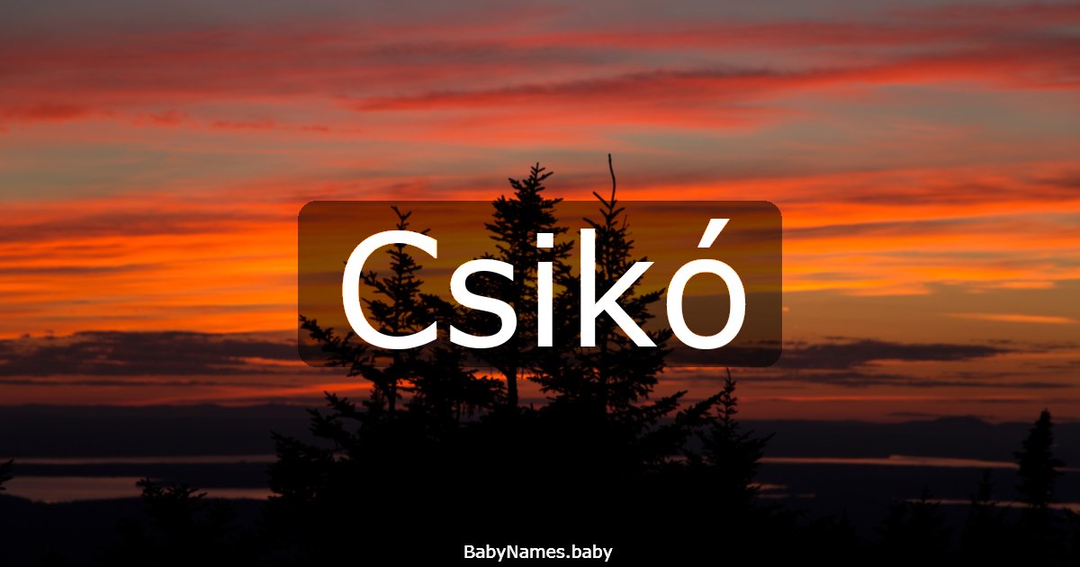 Csikó