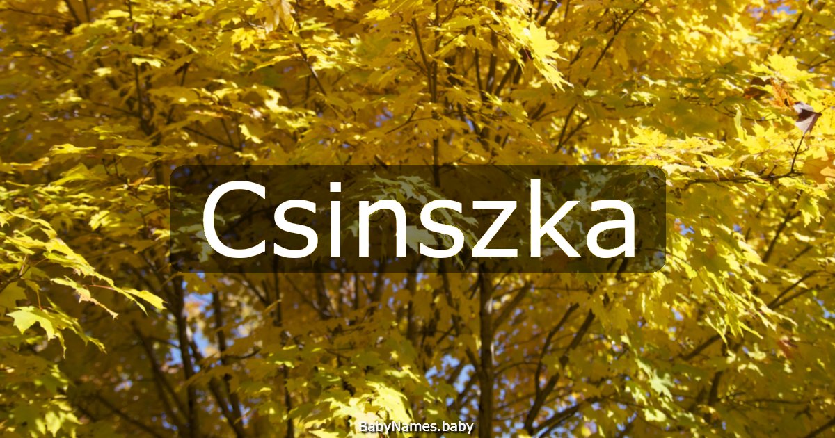 Csinszka