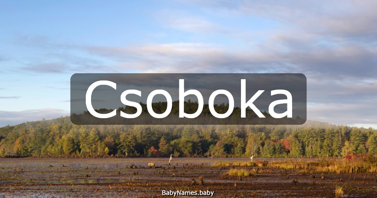 Csoboka