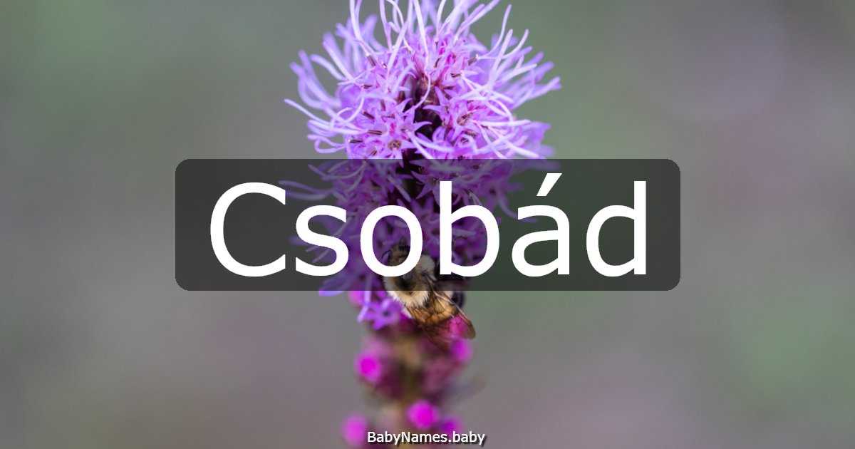 Csobád