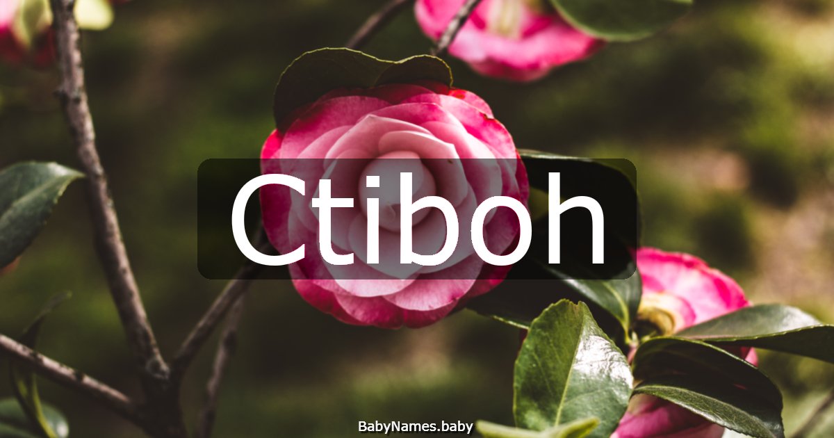 Ctiboh