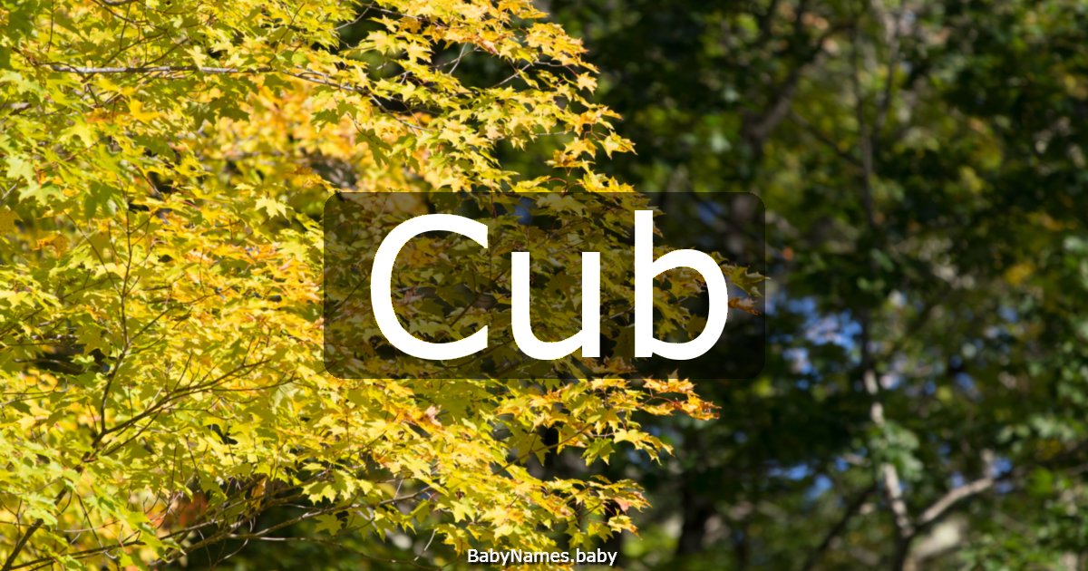 Cub