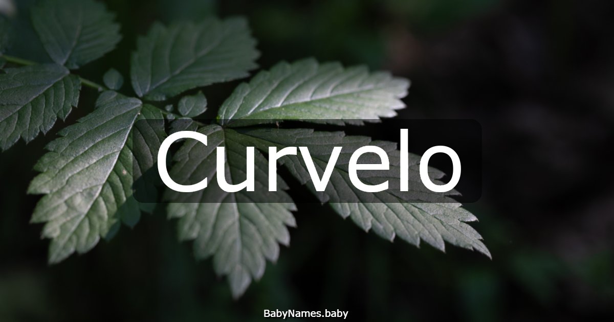 Curvelo