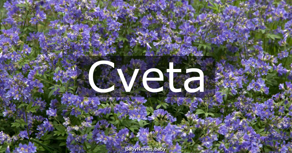 Cveta