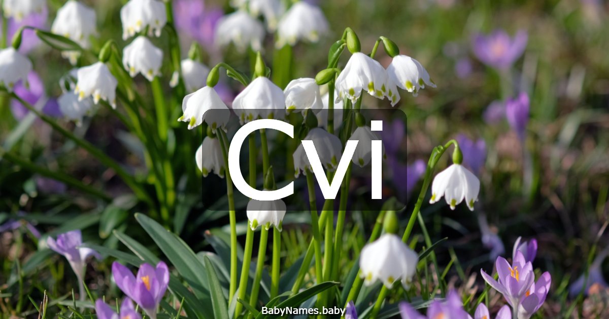 Cvi