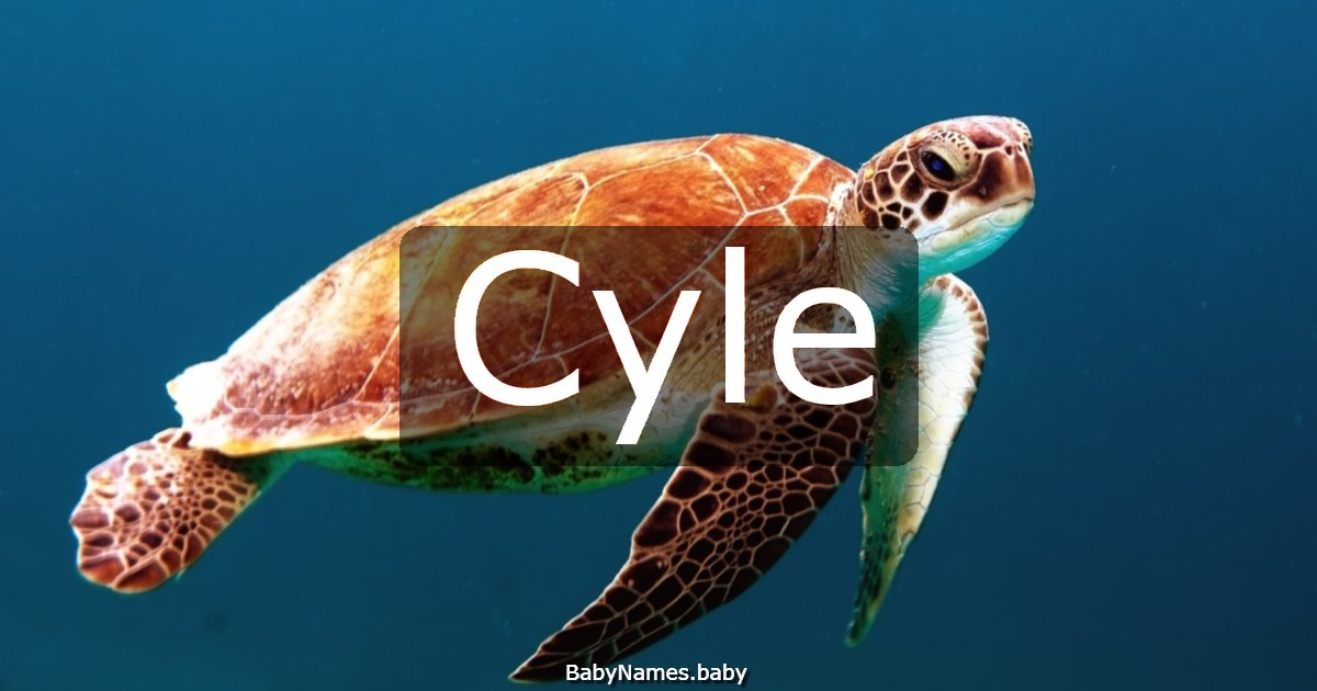 Cyle
