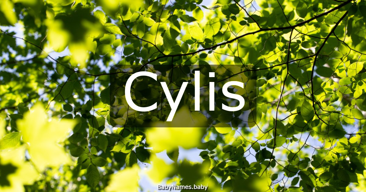 Cylis