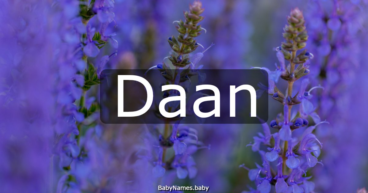 Daan
