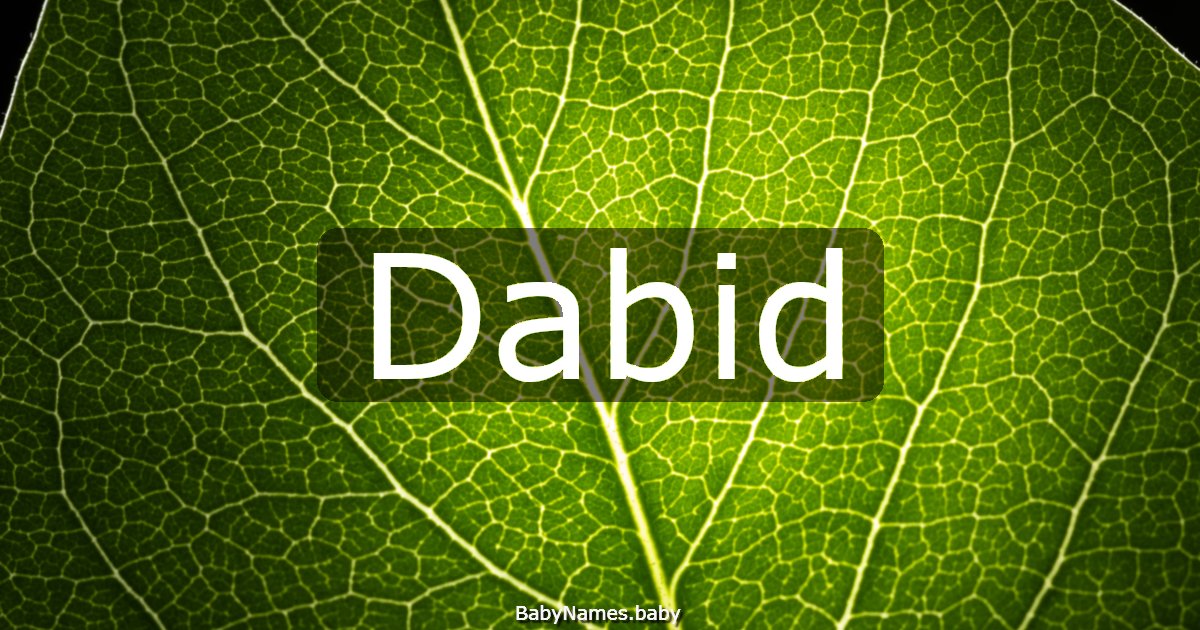 Dabid