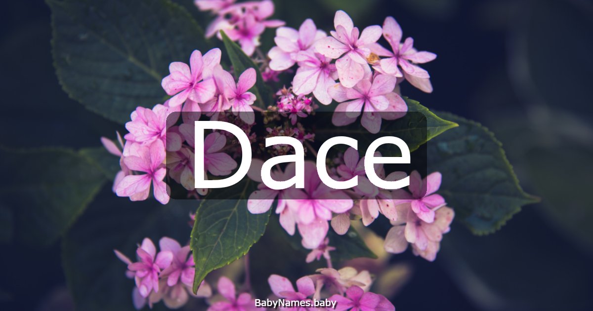 Dace