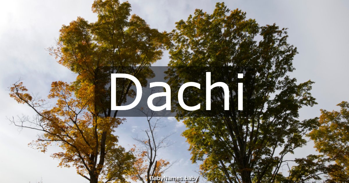 Dachi