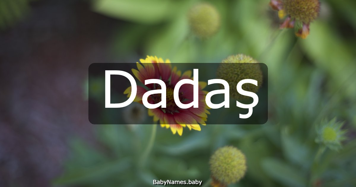 Dadaş