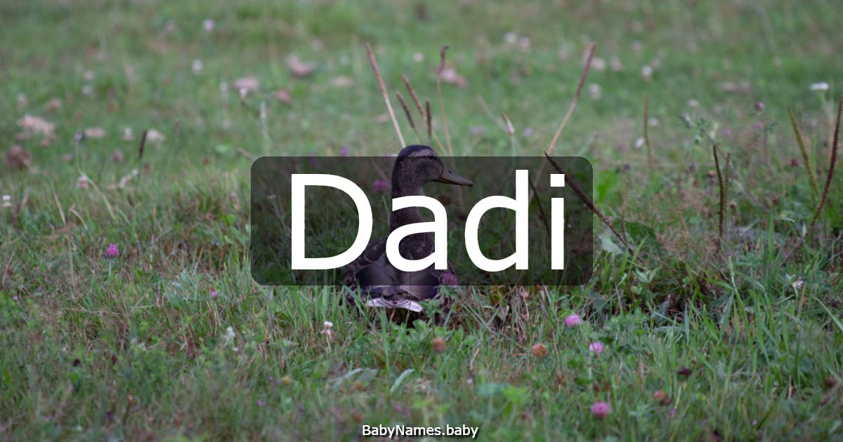 Dadi