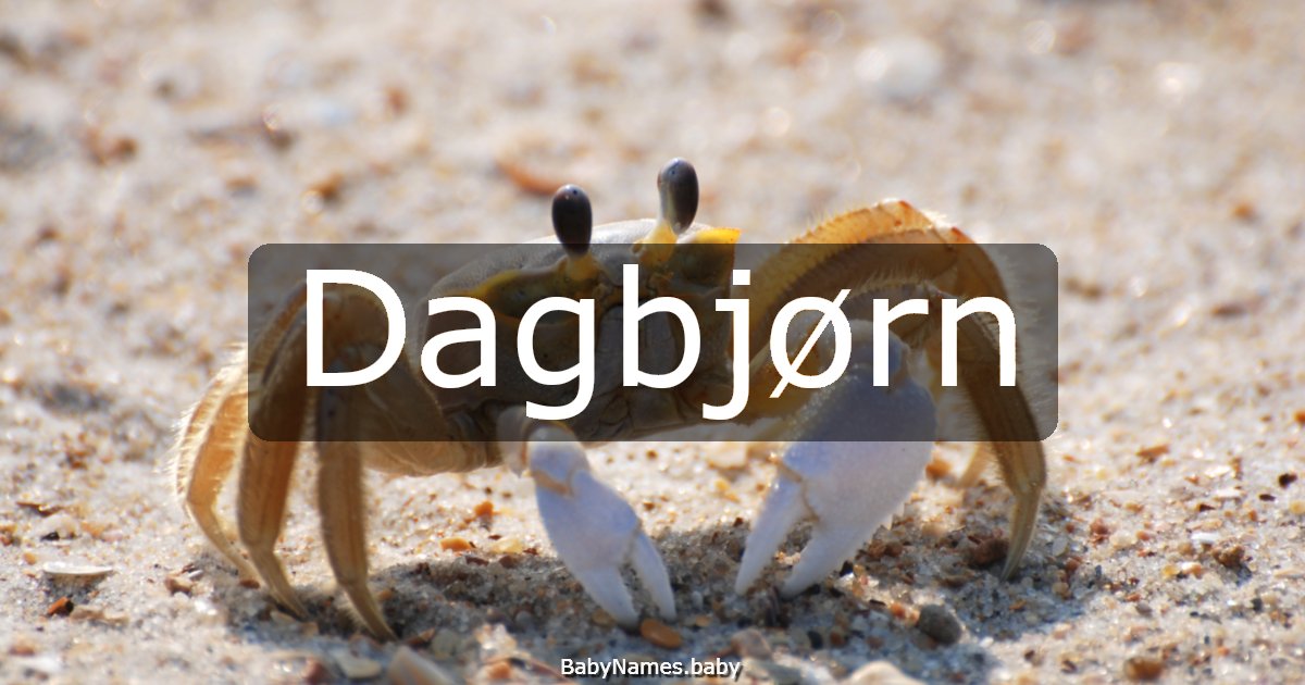 Dagbjørn