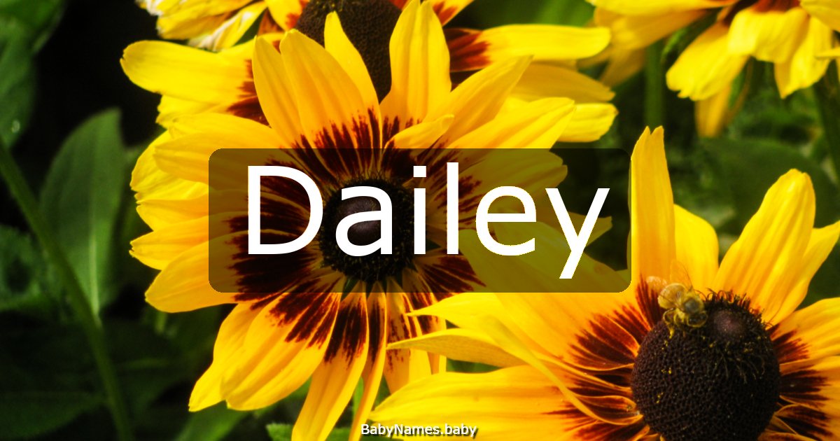 Dailey