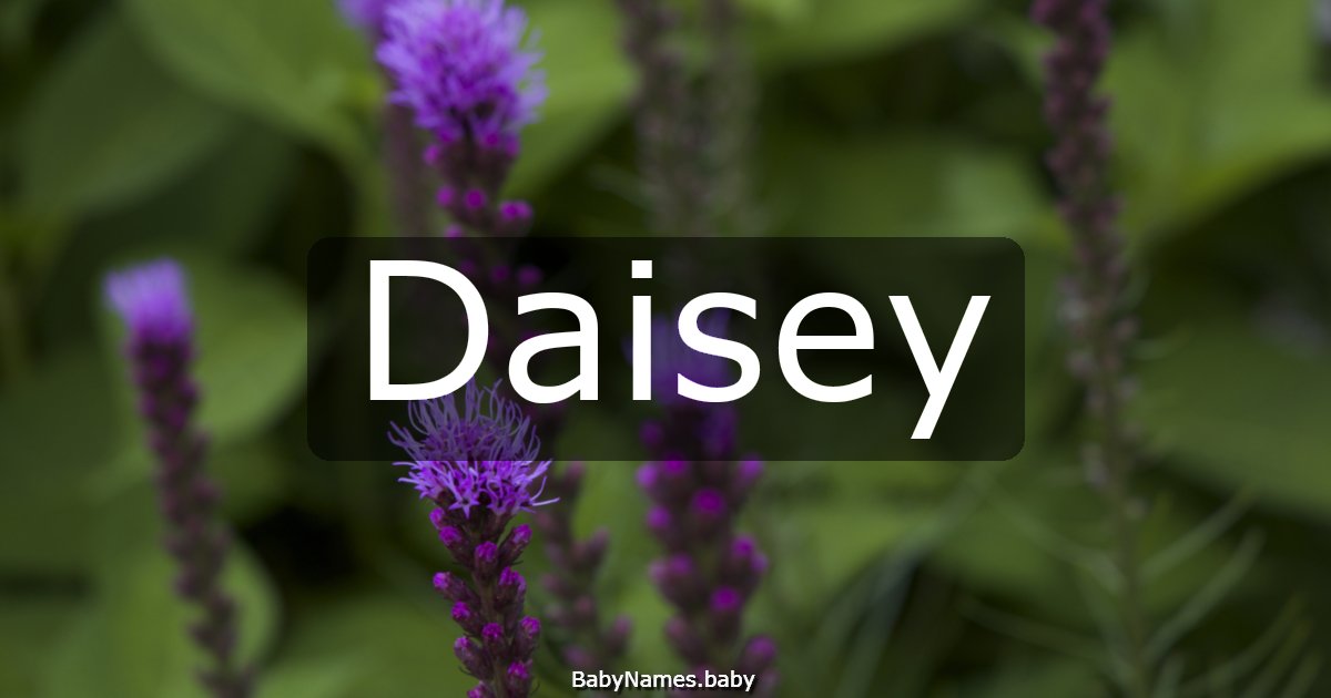 Daisey