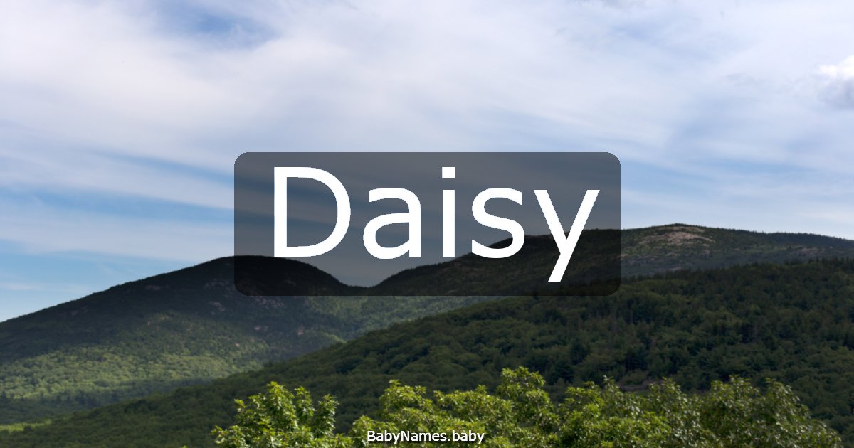 Daisy