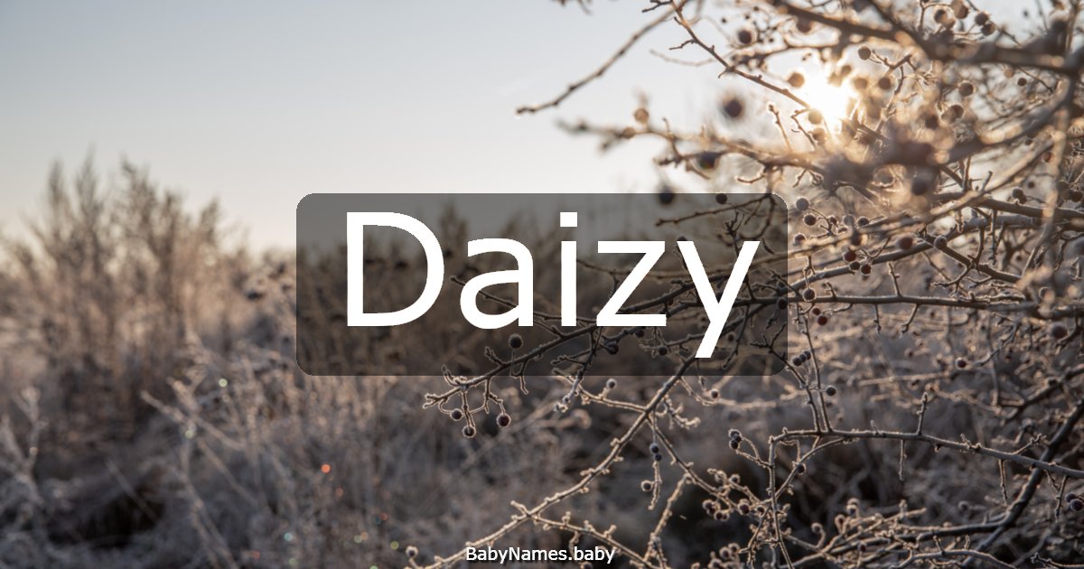 Daizy