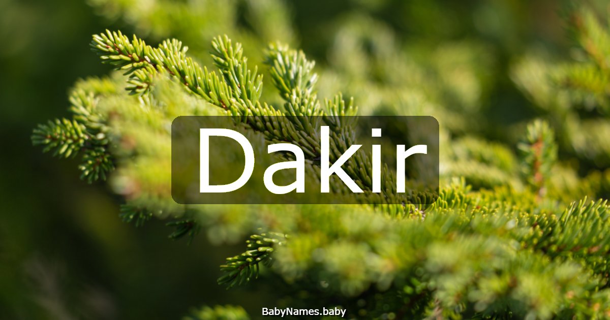 Dakir