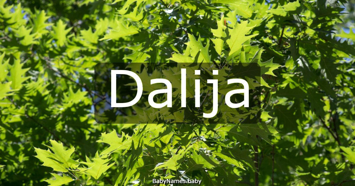 Dalija