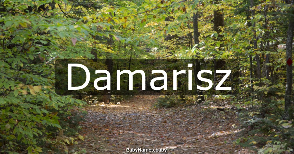 Damarisz