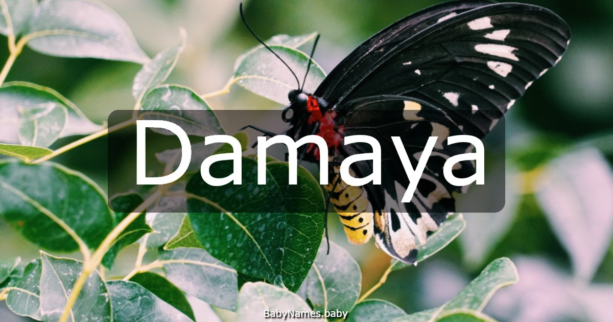 Damaya