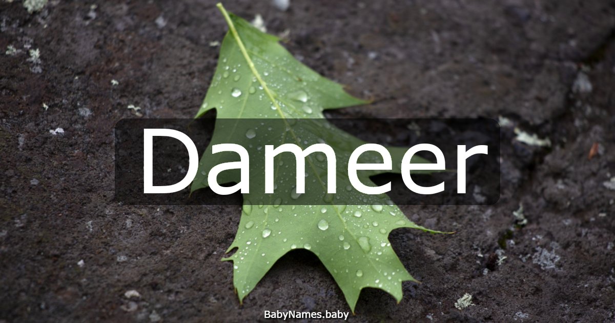 Dameer