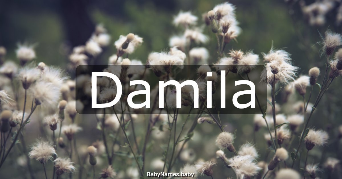 Damila