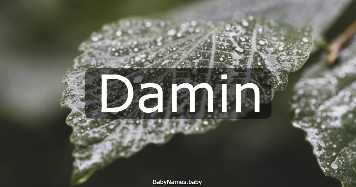 Damin