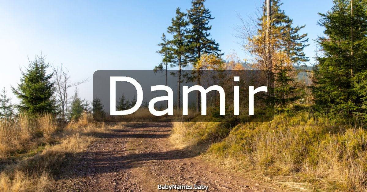 Damir