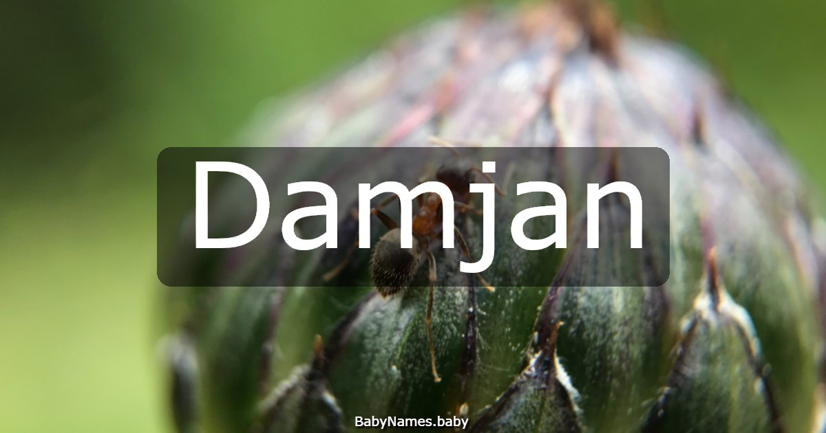 Damjan