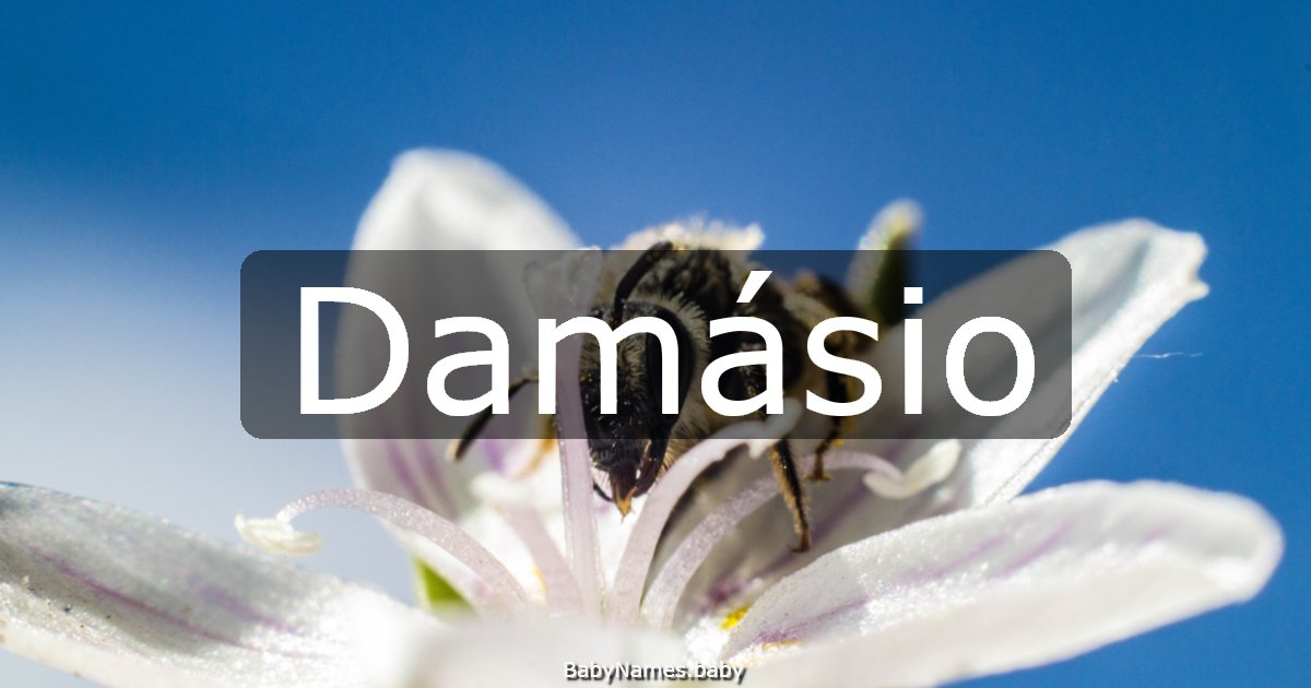 Damásio