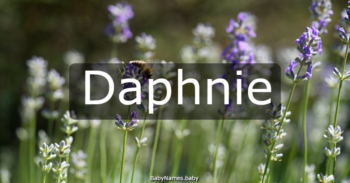 Daphnie