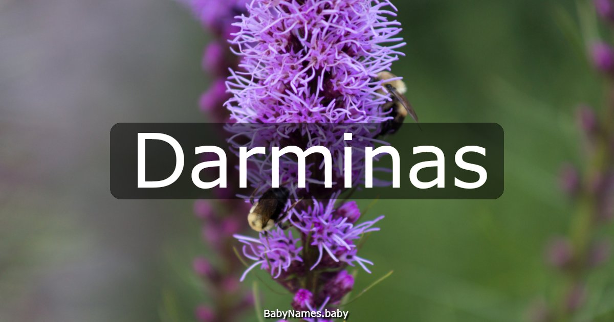 Darminas