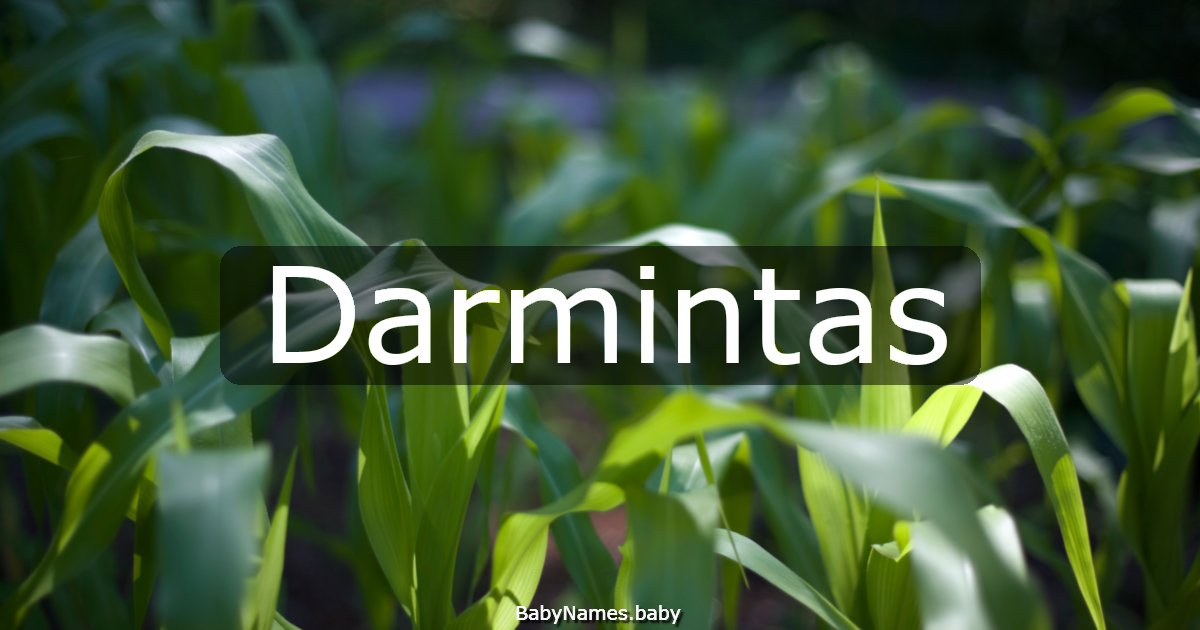 Darmintas