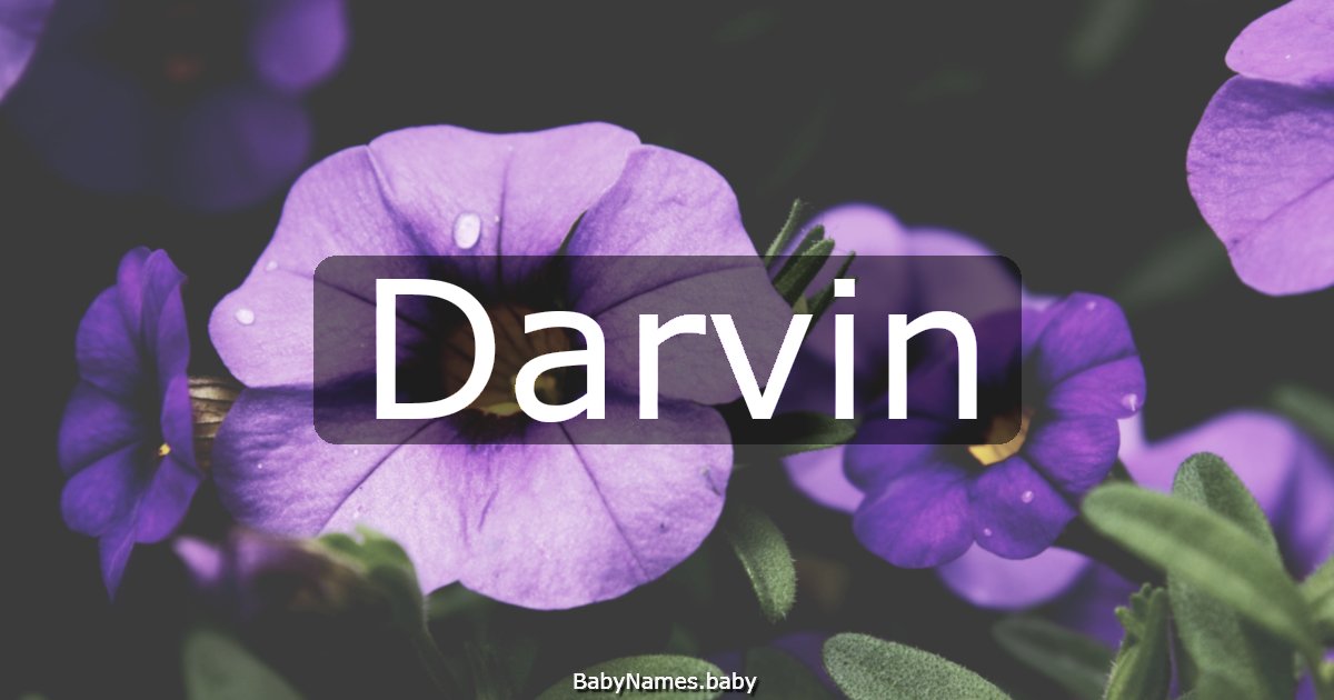 Darvin