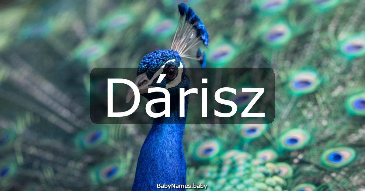 Dárisz