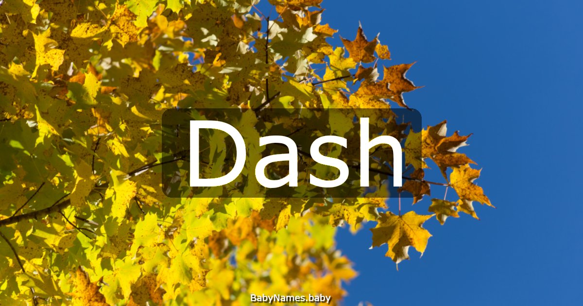 Dash
