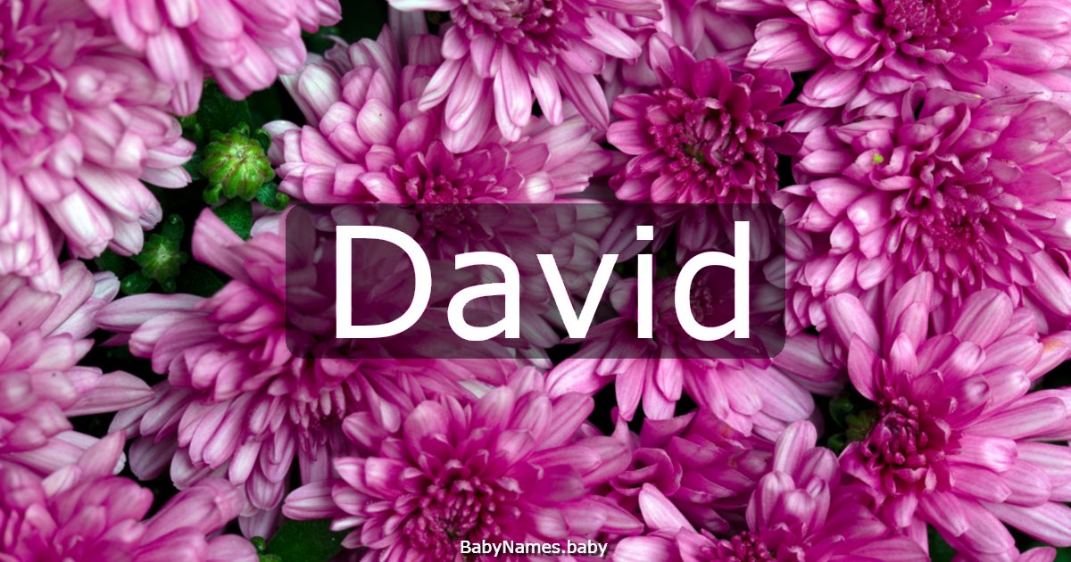 David