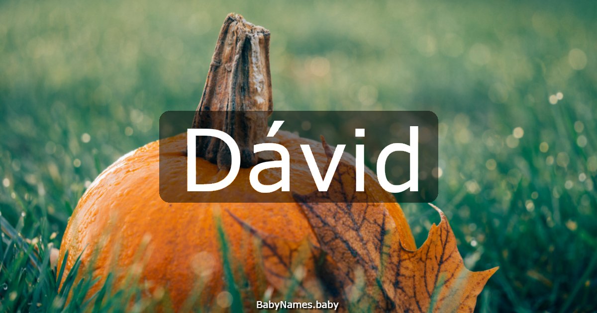 Dávid