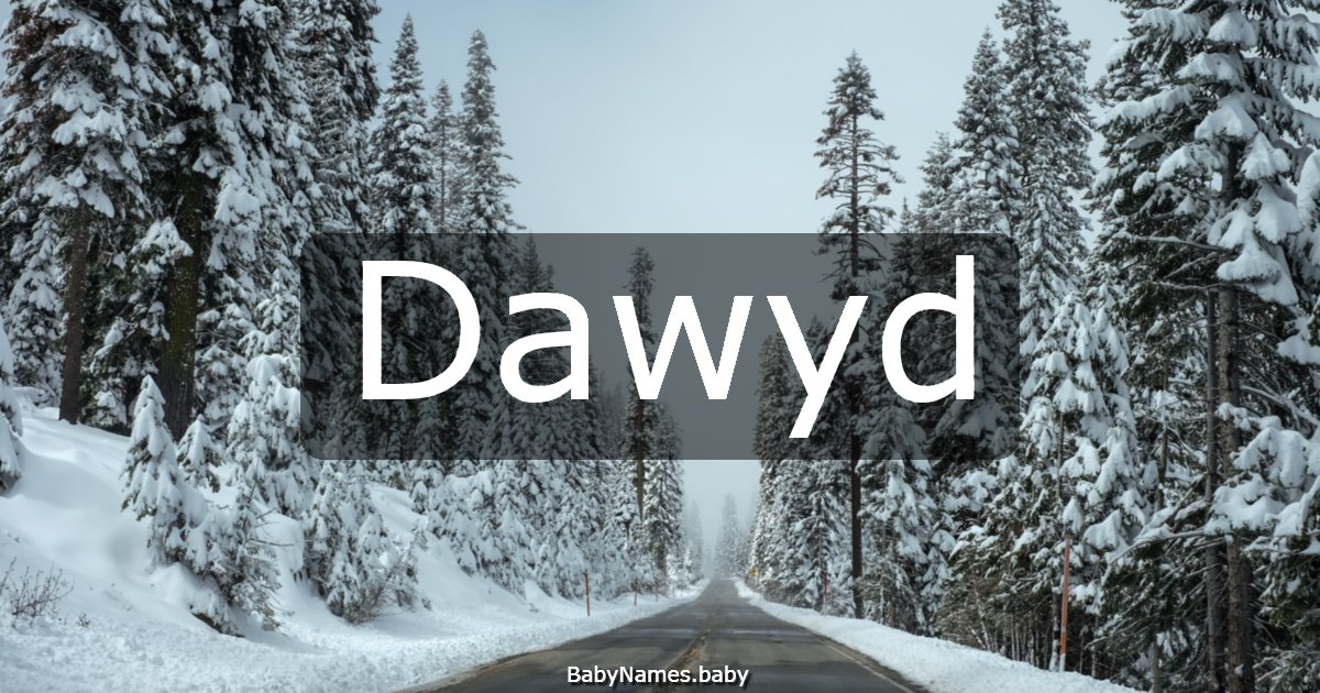 Dawyd