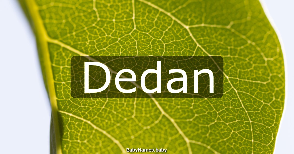 Dedan