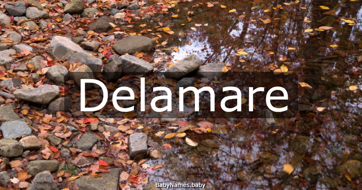Delamare