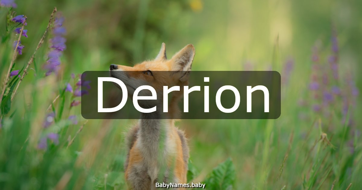 Derrion