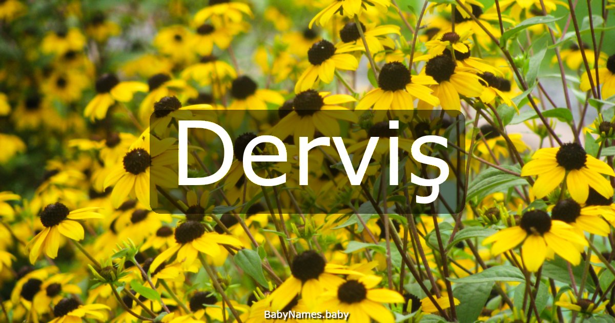 Derviş