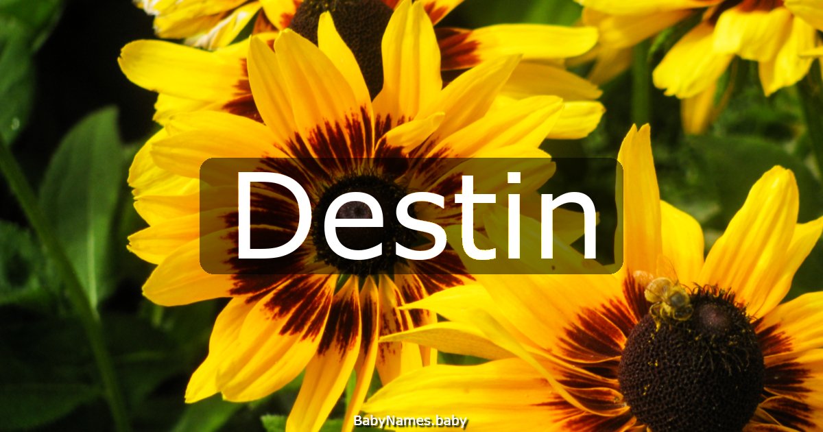 Destin